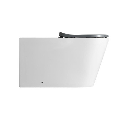 Унитаз напольный Qtap Freedom инклюзивный безбачковый Rimless безободковый с сиденьем Soft-close WHITE QT22223368W Унитаз напольный Qtap Freedom инклюзивный безбачковый Rimless безободковый с сиденьем Soft-close WHITE QT22223368W