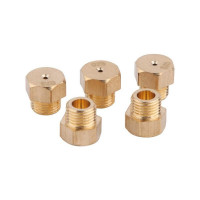 Комплект форсунок под СПГ Thermo Alliance (39930900100920) Комплект форсунок под СПГ Thermo Alliance (39930900100920)