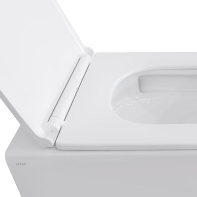 Унитаз подвесной Qtap Gemini безободковый с сиденьем Soft-close QT2533076EUQW Унитаз подвесной Qtap Gemini безободковый с сиденьем Soft-close QT2533076EUQW