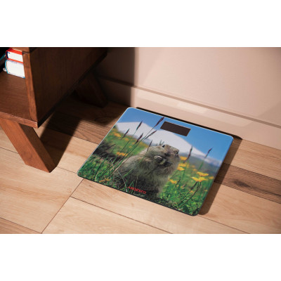 ARDESTO Ваги підлогові SCB-965MARMOT ARDESTO Ваги підлогові SCB-965MARMOT