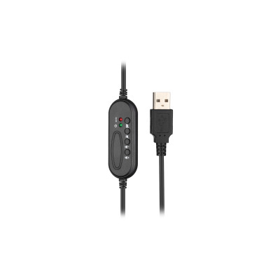 Гарнитура ПК стерео On-ear 2E CH11 USB, omni-mic, 2м, черный (2E-CH11SU)