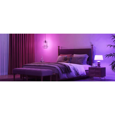 Лампа розумна Govee H600C, E14, 5W, 450Lm, 2700K-6400K, RGBWW, WI-FI/Bluetooth, білий