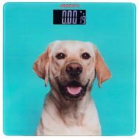 ARDESTO Ваги підлогові SCB-965DOG ARDESTO Ваги підлогові SCB-965DOG