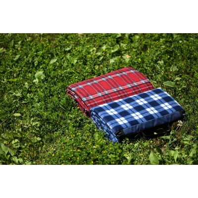 Плед ARDESTO Picnic 130х170см, 100% поліестер, клітинка синій