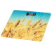 ARDESTO Ваги SCB-965WHEAT ARDESTO Ваги SCB-965WHEAT