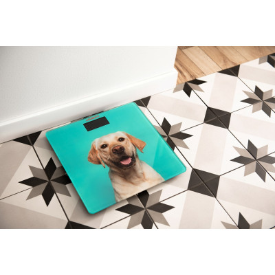 ARDESTO Ваги підлогові SCB-965DOG ARDESTO Ваги підлогові SCB-965DOG