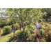 Сучкорез плоскостной Fiskars PowerGearХ S