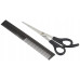 Машинка для стрижки Wahl Home Pro 300, мережа, вібраційний мотор, насадок-10, кейс, масло та ножиці у компл., сталь, чорний