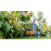 Тример садовий Bosch EasyGrassCut 23 280Вт 23см 1.9кг (0.600.8C1.H01)