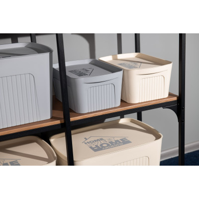 Ящик з кришкою для зберігання ARDESTO 32х21.5х14см, 6л, пластик PP, бежевий