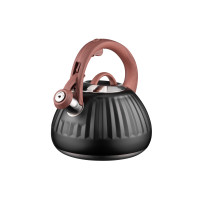 ARDESTO Чайник Gemini, 2.5 л, нержавеющая сталь AR1958KS ARDESTO Чайник Gemini, 2.5 л, нержавеющая сталь AR1958KS