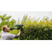Bosch Кущоріз AdvancedHedgeCut 65 500Вт 65см крок різу 34мм 5.62 кг