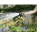 Шланг садовый Karcher Performance Premium 1/2" 20м 3 слоя до 50бар -20…+60°C (2.645-324.0) Шланг садовый Karcher Performance Premium 1/2" 20м 3 слоя до 50бар -20…+60°C (2.645-324.0)