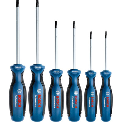 Викрутка Bosch Professional Torx набір 6шт, T10х75, T15х75, T20x100, T25x100, T30x125, T40x125мм