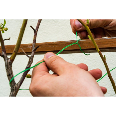 Проволока садовая Verto, ПВХ-оболочка, с обрезчиком, 0.15смх50м, зеленый (15G530) Проволока садовая Verto, ПВХ-оболочка, с обрезчиком, 0.15смх50м, зеленый (15G530)