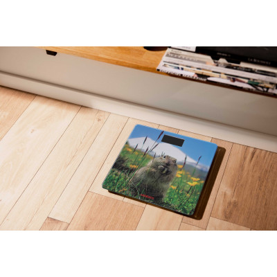 ARDESTO Ваги підлогові SCB-965MARMOT ARDESTO Ваги підлогові SCB-965MARMOT