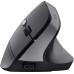 Мышь Trust Bayo 2 Ergonomic, WL/USB-A, черный