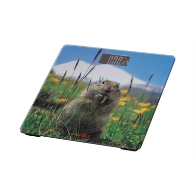 ARDESTO Ваги підлогові SCB-965MARMOT ARDESTO Ваги підлогові SCB-965MARMOT