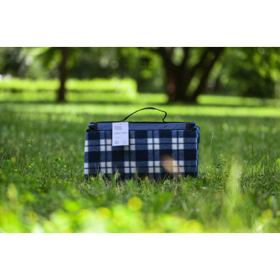 Плед ARDESTO Picnic 130х170см, 100% поліестер, клітинка синій