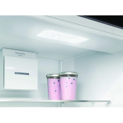 Холодильник Liebherr вбудований з нижн. мороз., 193.8x55.9х54.6, холод.відд.-215л, мороз.відд.-70л, 2дв., D, NF, диспл внутр., білий