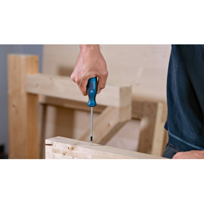 Викрутка Bosch Professional Torx набір 6шт, T10х75, T15х75, T20x100, T25x100, T30x125, T40x125мм