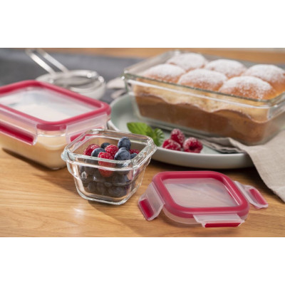 Tefal Форма універсальна із кришкою MASTERSEAL GLASS 1.3 л, скло N1041010