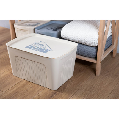 Ящик з кришкою для зберігання ARDESTO 32х21.5х14см, 6л, пластик PP, бежевий