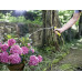 Шланг садовый Karcher Performance Plus 3/4" 50м 3 слоя до 30бар -20…+60°C (2.645-323.0) Шланг садовый Karcher Performance Plus 3/4" 50м 3 слоя до 30бар -20…+60°C (2.645-323.0)