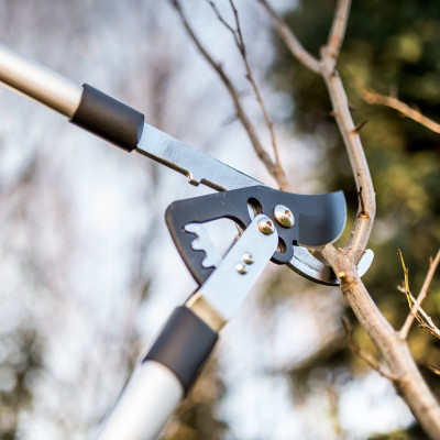 Сучкоріз площинний Cellfast IDEAL, d різу 45мм (40-411) Сучкоріз площинний Cellfast IDEAL, d різу 45мм (40-411)