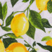 Набір рушничків для кухні ARDESTO Sicilian lemons 38х63см, 2шт, 100% бавовна, зелений