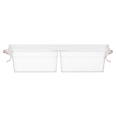 Контейнер двосекційний для зберігання харчових продуктів ARDESTO Fresh 2х0.25л, пластик, прямокутна, рожевий Контейнер двосекційний для зберігання харчових продуктів ARDESTO Fresh 2х0.25л, пластик, прямокутна, рожевий