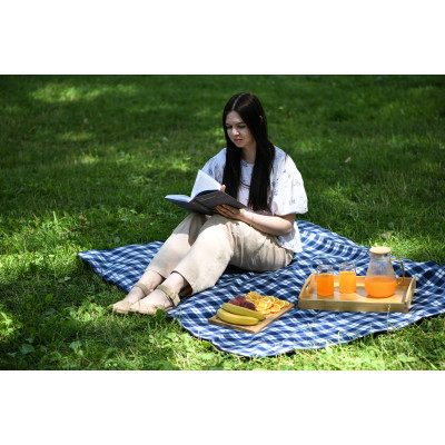 Плед ARDESTO Picnic 130х170см, 100% поліестер, клітинка синій