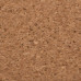 Килимок для миші 2E CORK, L(800x400x2мм), коричневий