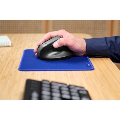 Мышь Trust Bayo + Ergonomic, BT/WL/USB-A, черный Мышь Trust Bayo + Ergonomic, BT/WL/USB-A, черный