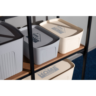 Ящик з кришкою для зберігання ARDESTO 32х21.5х14см, 6л, пластик PP, бежевий