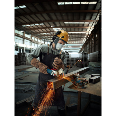 Шліфмашина кутова Bosch Professional GWS 12-125 S 125мм 1200ВТ 11000об/хв 2.8кг 0.601.3A6.020 Шліфмашина кутова Bosch Professional GWS 12-125 S 125мм 1200ВТ 11000об/хв 2.8кг 0.601.3A6.020