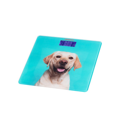 ARDESTO Ваги підлогові SCB-965DOG ARDESTO Ваги підлогові SCB-965DOG