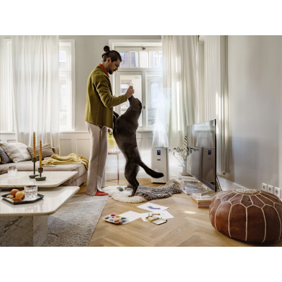 Karcher Очисник повітря AF 50, 50м2, 520м3/год, дисплей, 2 HEPA фільтри, 4 режими, інд. забр-ння, білий