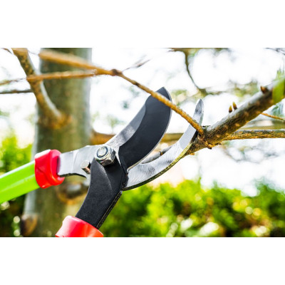 Сучкорез плоскостной Verto, d 35мм, 680мм, 1150гр (15G252) Сучкорез плоскостной Verto, d 35мм, 680мм, 1150гр (15G252)