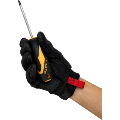 Викрутка Tolsen Ерго хрестова, PZ2x100мм, сталь CrV