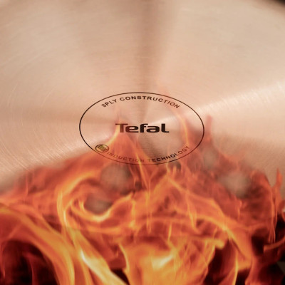 Сковорода Tefal Emotion+ Power, 24см, нержавіюча сталь, серцевина-алюміній, хромована сталь, бакеліт
