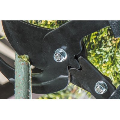 Сучкорез плоскостной Verto, диаметр резки 35мм, телескопический 700-1000мм, держатель алюминий, антискользящий, 1.44кг (15G253) Сучкорез плоскостной Verto, диаметр резки 35мм, телескопический 700-1000мм, держатель алюминий, антискользящий, 1.44кг (15G253)