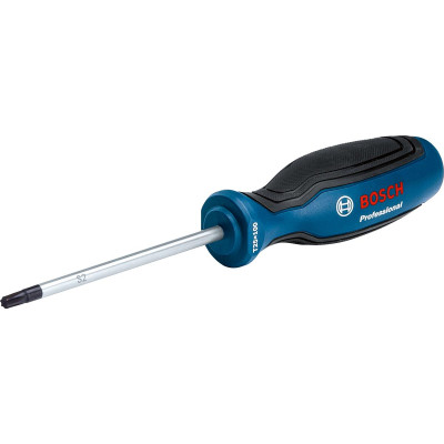 Викрутка Bosch Professional Torx T25x100мм