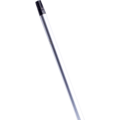 Викрутка Bosch Professional Torx T40x125мм