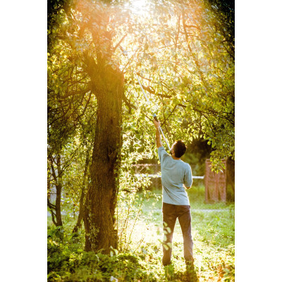 Сучкоріз площинний, висотний Cellfast IDEAL, телескопічний, d різу 25мм, 200см, 1200гр (40-416) Сучкоріз площинний, висотний Cellfast IDEAL, телескопічний, d різу 25мм, 200см, 1200гр (40-416)