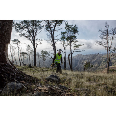 Пила ланцюгова акумуляторна DeWalt 18В шина 30см 3/8