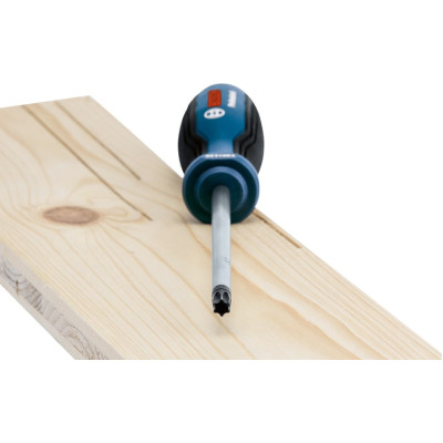 Викрутка Bosch Professional Torx набір 6шт, T10х75, T15х75, T20x100, T25x100, T30x125, T40x125мм