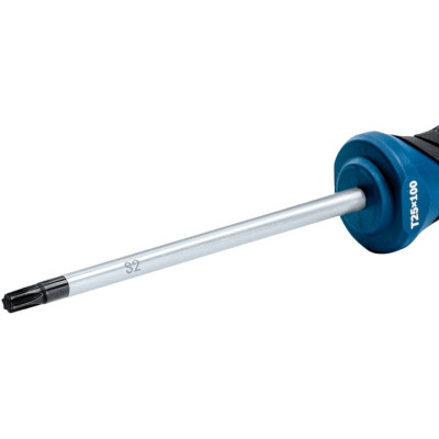 Викрутка Bosch Professional Torx T25x100мм
