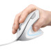 Trust Миша Verto Ergonomic, USB-A, Білий Trust Миша Verto Ergonomic, USB-A, Білий