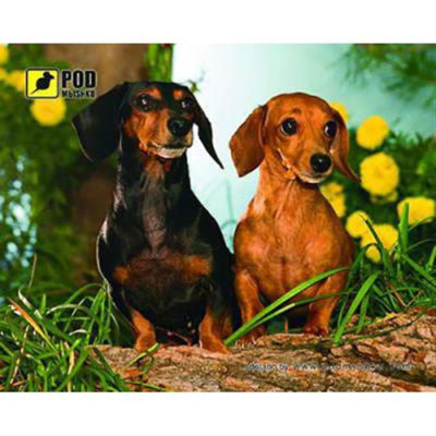 Килимок для миші Podmyshku Таксы Килимок для миші Podmyshku Таксы